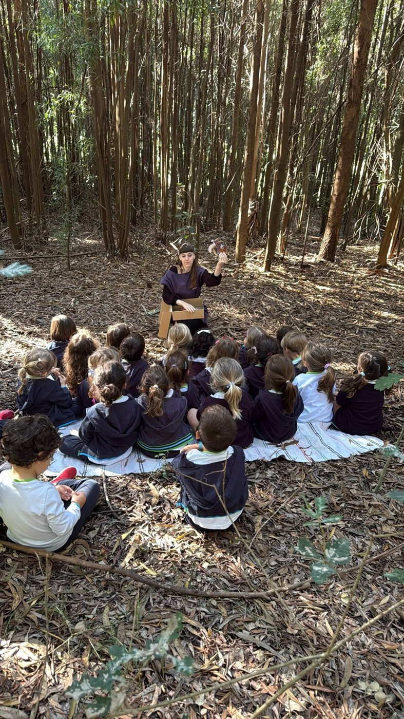 Floresta de eucaliptos com um grupo sentado ao ar livre